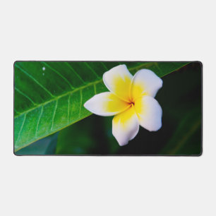 Plumeria Schreibtischunterlage