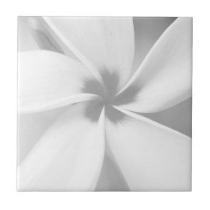 Plumeria - Schwarz-Weiß-Macro-Portrait Fliese