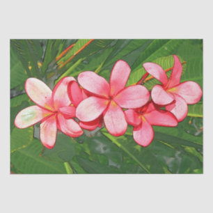 Plumeria Seidenpapier