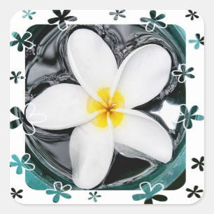 Plumeria Sticker