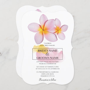 Plumeria tropicale Frangipani Invitations de maria