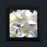 Plumeria Tropische Blume Geschenkbox<br><div class="desc">Ein wunderschöner Haufen tropischer Plumeria Blume draußen in Hawaii. Original Fotografie.</div>