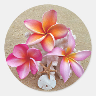 Plumeria und Muscheln auf Sandy Beach Sticker