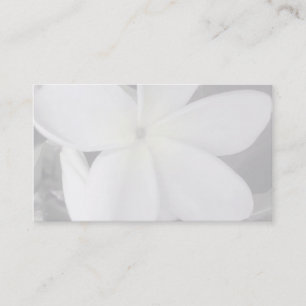 Plumeria-Visitenkartehintergrund Visitenkarte