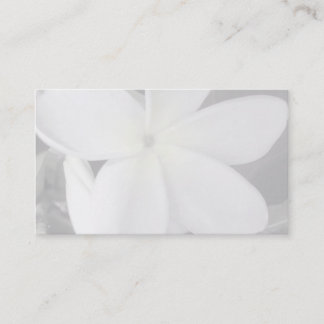 Plumeria-Visitenkartehintergrund Visitenkarte