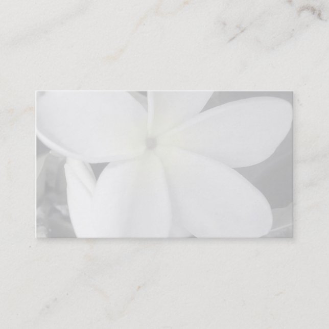 Plumeria-Visitenkartehintergrund Visitenkarte (Vorderseite)