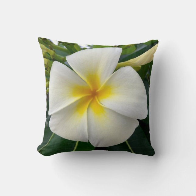 Plumeria-Wurfs-Kissen Kissen (Vorderseite)