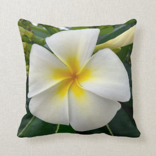 Plumeria-Wurfs-Kissen Kissen