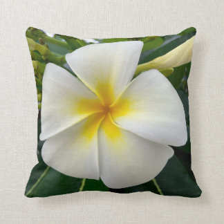 Plumeria-Wurfs-Kissen Kissen