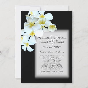 Plumeria zur Einladung zur Schwarzen Hawaiianische