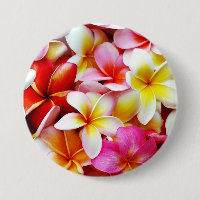 Plumeriafrangipani-Hawaii-Blume besonders