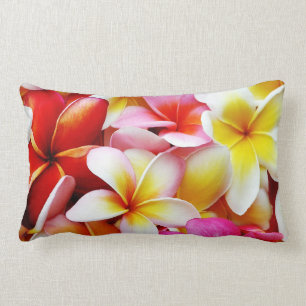 Plumeriafrangipani-Hawaii-Blume besonders Lendenkissen