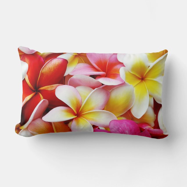 Plumeriafrangipani-Hawaii-Blume besonders Lendenkissen (Vorderseite)