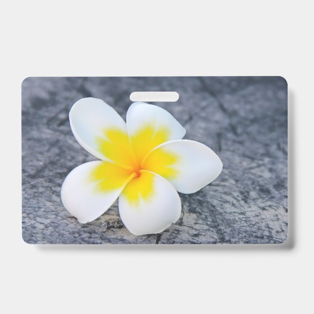 Plumerias Ausweis (Vorderseite)