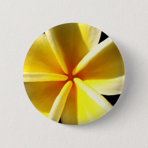Plumerias Button