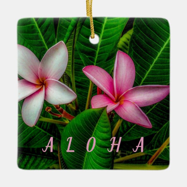 Plumerias in Weiß und Rosa Keramikornament (Vorderseite)