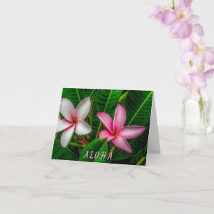 Plumerias in weißer und rosa geklappter Grußkarte Karte