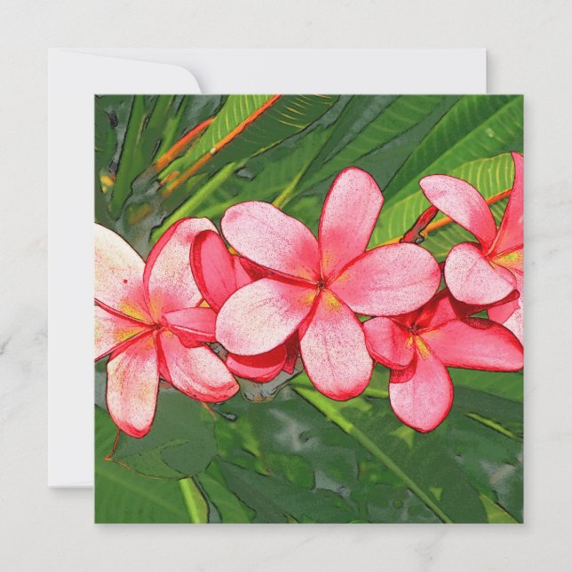 Plumerias Karte (Vorderseite)