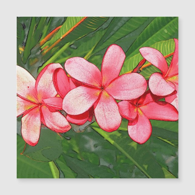 Plumerias Magnetkarte (Vorderseite)