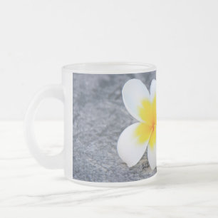 Plumerias Mattglastasse