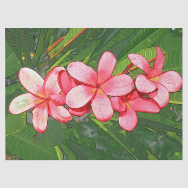 Plumerias pink  seidenpapier (Vorderseite)