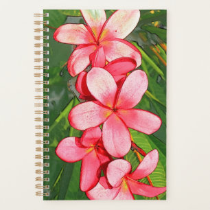 Plumerias Planer