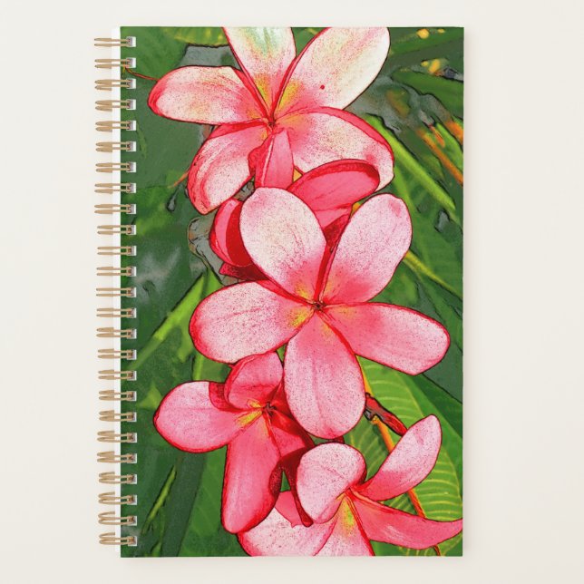 Plumerias Planer (Vorderseite)