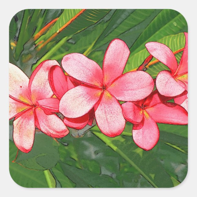 Plumerias Quadratischer Aufkleber (Vorderseite)