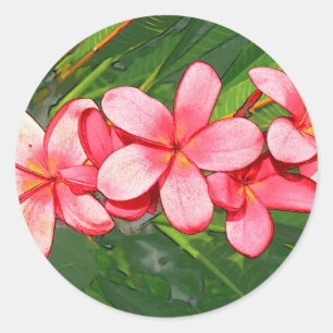 Plumerias Runder Aufkleber