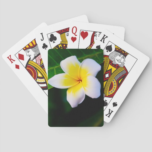 Plumerias Spielkarten (Rückseite)