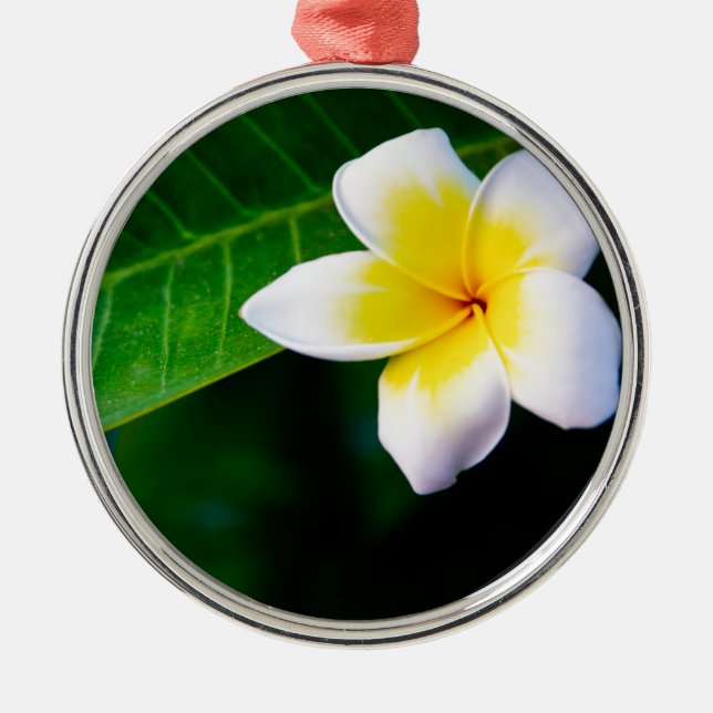 Plumerien Silbernes Ornament (Vorne)