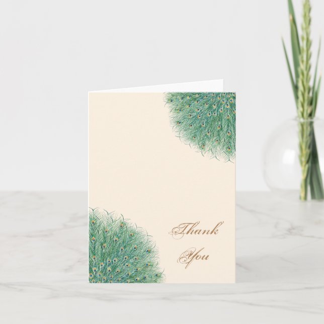 Plumes de Paon Jolies Merci (Devant)