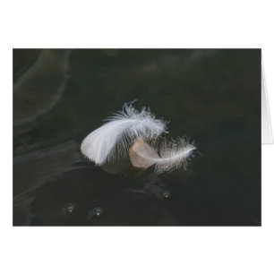 Plumes d'oie flottantes
