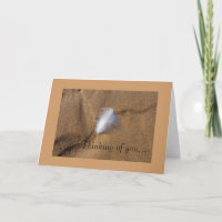 Plumes sur sable blanc Penser à votre carte