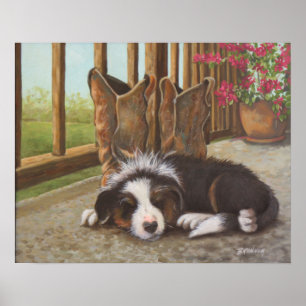 Plumpe verdecktes Poster