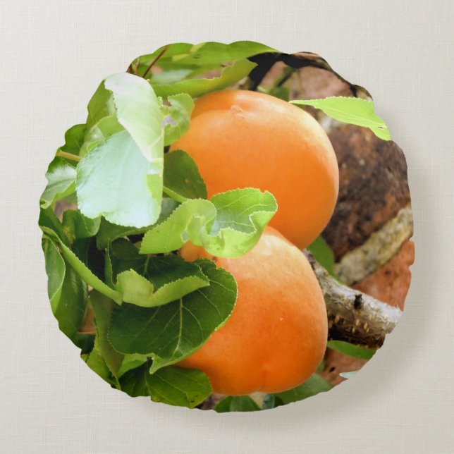 PLUMS RUNDES KISSEN (Vorderseite)