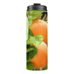 PLUMS THERMOSBECHER