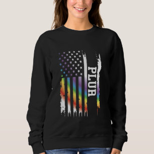 PLUR United Staaten Distressed Rainbow w US Flag Sweatshirt