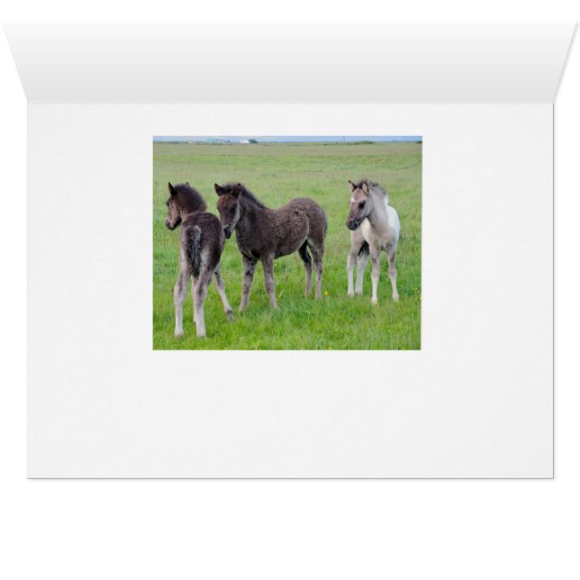 Plus de chevaux en abondance (horizontal) (Intérieur Horizontal (Bas))