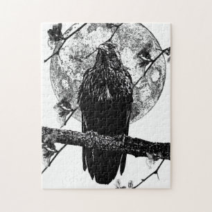 Plus de Raven et le Puzzle de la lune