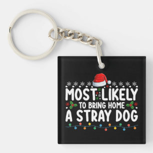 Plus susceptible de ramener à la maison un chien p