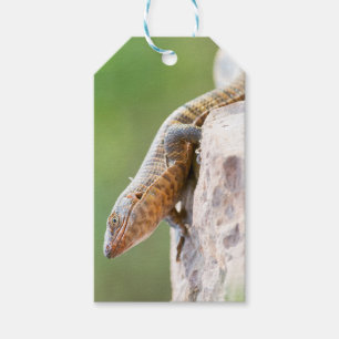 Plutschechse Geschenkanhänger