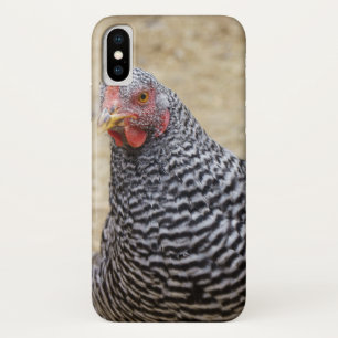 Plymouth Barred Rock Hen Fotograf Case-Mate iPhone Hülle