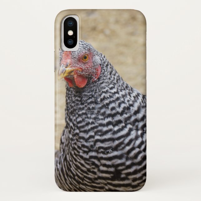 Plymouth Barred Rock Hen Fotograf Case-Mate iPhone Hülle (Rückseite)