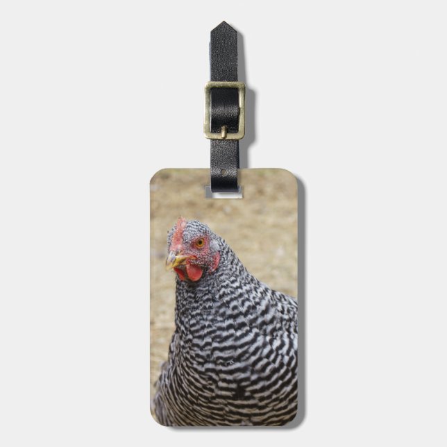 Plymouth Barred Rock Hen Fotograf Gepäckanhänger (Vorderseite vertikal)
