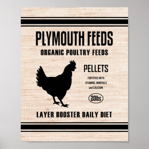 PLYMOUTH FÜTTRE POSTER