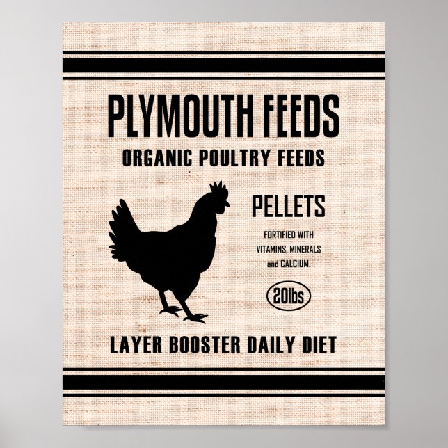 PLYMOUTH FÜTTRE POSTER (Vorne)