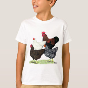 Plymouth Rock Quartett T-Shirt