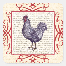 Plymouth Rock Vintag Poultry Farm Quadratischer Aufkleber