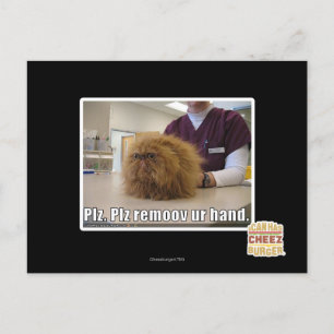 Plz remoov ur hand postkarte